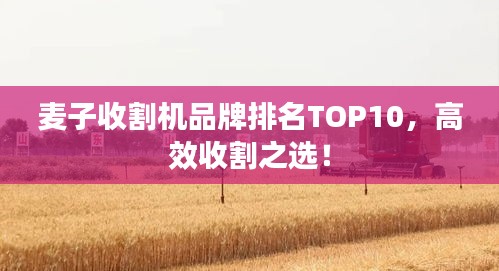 麦子收割机品牌排名TOP10，高效收割之选！