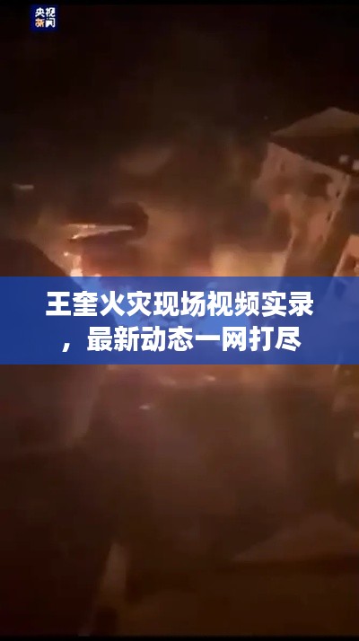 王奎火灾现场视频实录，最新动态一网打尽