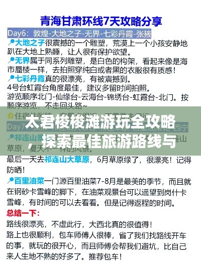 太君梭梭滩游玩全攻略，探索最佳旅游路线与体验！