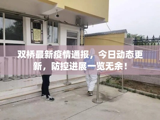 双桥最新疫情通报，今日动态更新，防控进展一览无余！