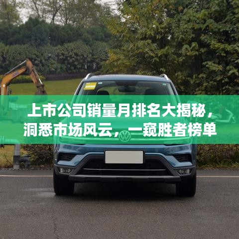 上市公司销量月排名大揭秘，洞悉市场风云，一窥胜者榜单！