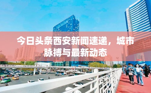 今日头条西安新闻速递，城市脉搏与最新动态