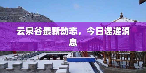 云泉谷最新动态，今日速递消息