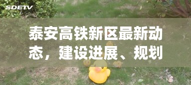 只争朝夕