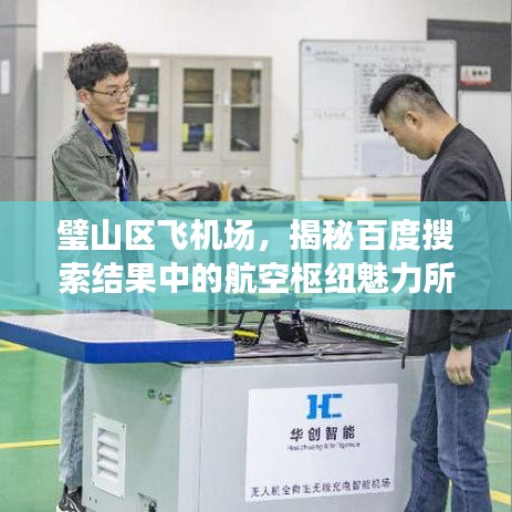 璧山区飞机场，揭秘百度搜索结果中的航空枢纽魅力所在
