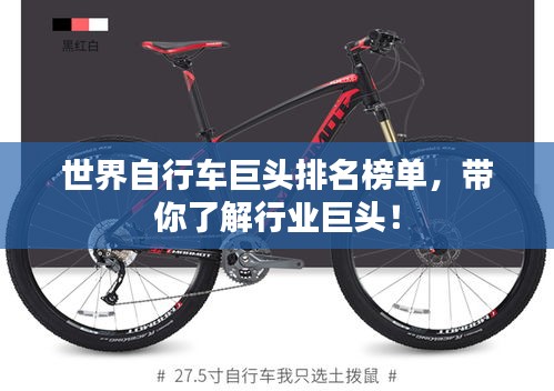 世界自行车巨头排名榜单，带你了解行业巨头！