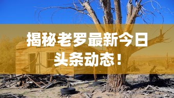 揭秘老罗最新今日头条动态！