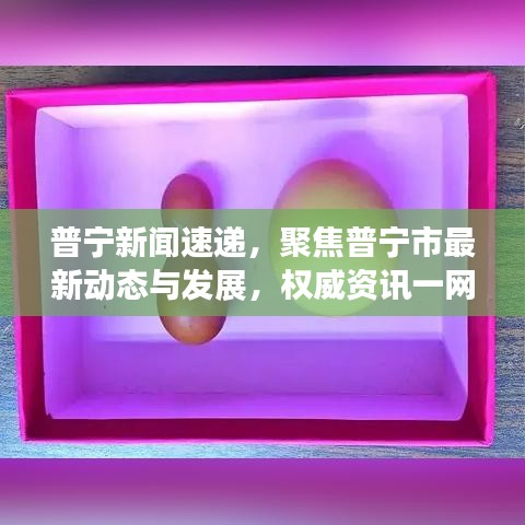 普宁新闻速递，聚焦普宁市最新动态与发展，权威资讯一网打尽！