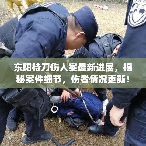 东阳持刀伤人案最新进展，揭秘案件细节，伤者情况更新！