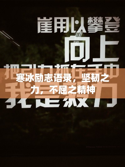 寒冰励志语录，坚韧之力，不屈之精神