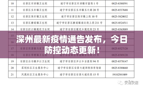深州最新疫情通告发布，今日防控动态更新！