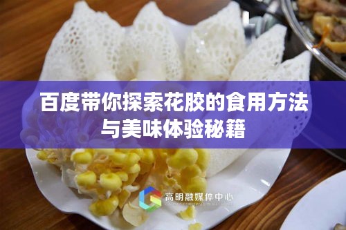 百度带你探索花胶的食用方法与美味体验秘籍