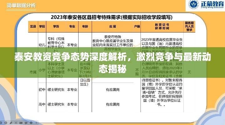 泰安教资竞争态势深度解析，激烈竞争与最新动态揭秘