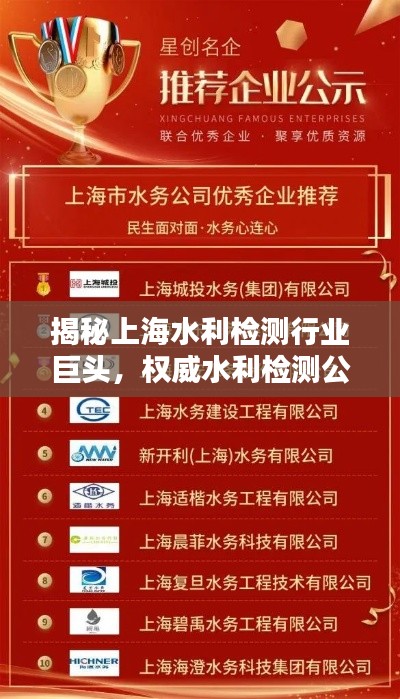 揭秘上海水利检测行业巨头，权威水利检测公司排名榜单！