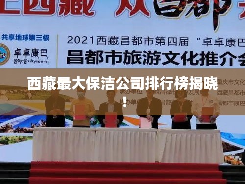 西藏最大保洁公司排行榜揭晓！
