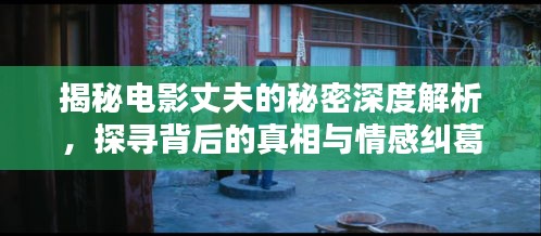 揭秘电影丈夫的秘密深度解析，探寻背后的真相与情感纠葛