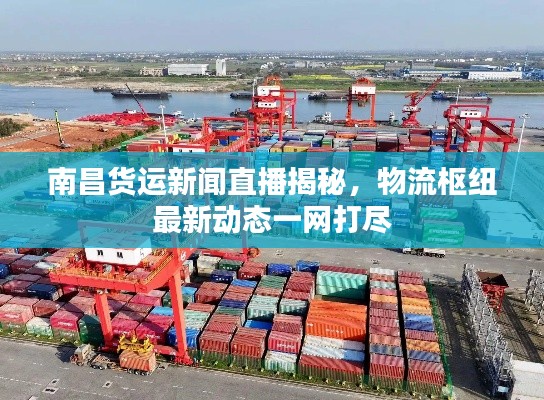 南昌货运新闻直播揭秘，物流枢纽最新动态一网打尽