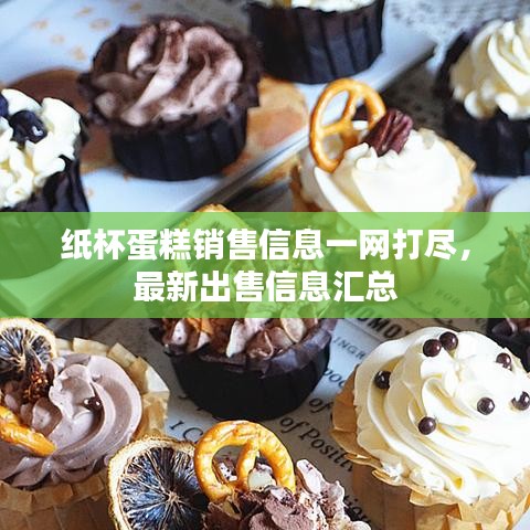 纸杯蛋糕销售信息一网打尽，最新出售信息汇总