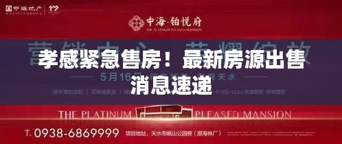 孝感紧急售房！最新房源出售消息速递
