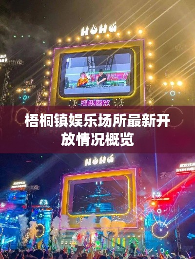 梧桐镇娱乐场所最新开放情况概览