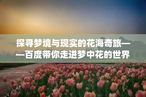 探寻梦境与现实的花海奇旅——百度带你走进梦中花的世界