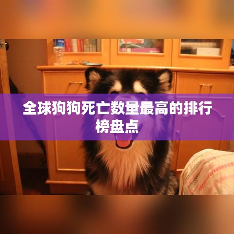 全球狗狗死亡数量最高的排行榜盘点