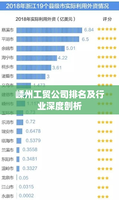 嵊州工贸公司排名及行业深度剖析