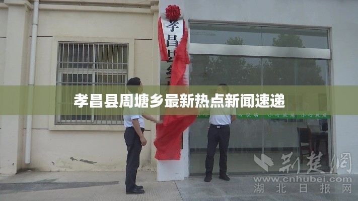 联系我们 第12页
