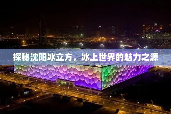 探秘沈阳冰立方，冰上世界的魅力之源