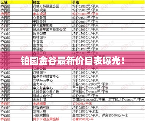 铂园金谷最新价目表曝光！