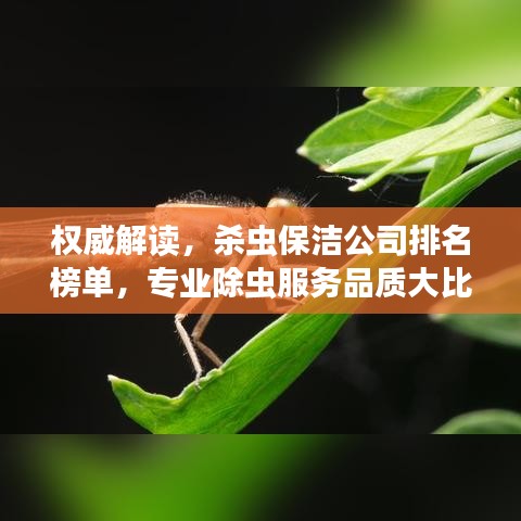 权威解读，杀虫保洁公司排名榜单，专业除虫服务品质大比拼！