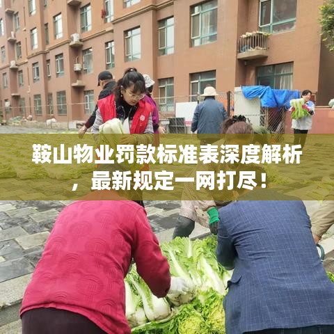 鞍山物业罚款标准表深度解析，最新规定一网打尽！