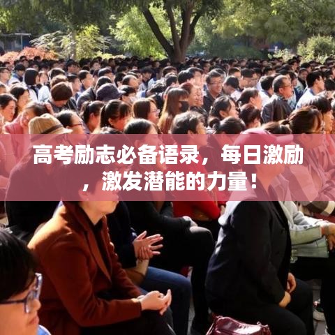 高考励志必备语录，每日激励，激发潜能的力量！