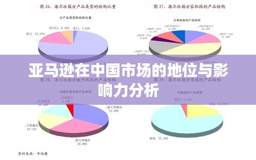 亚马逊在中国市场的地位与影响力分析