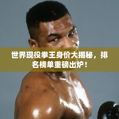 世界现役拳王身价大揭秘，排名榜单重磅出炉！