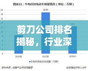 剪刀公司排名揭秘，行业深度分析与趋势解读