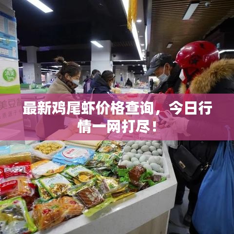 工程案例 第11页