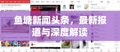 鱼塘新闻头条，最新报道与深度解读