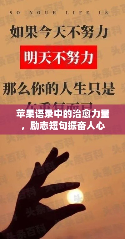 苹果语录中的治愈力量，励志短句振奋人心