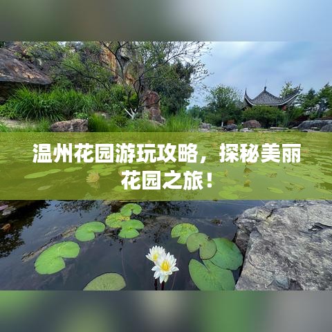 温州花园游玩攻略，探秘美丽花园之旅！