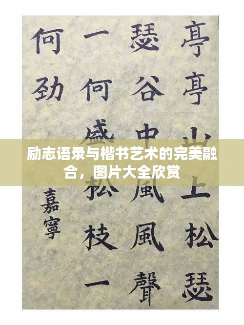 不知就里
