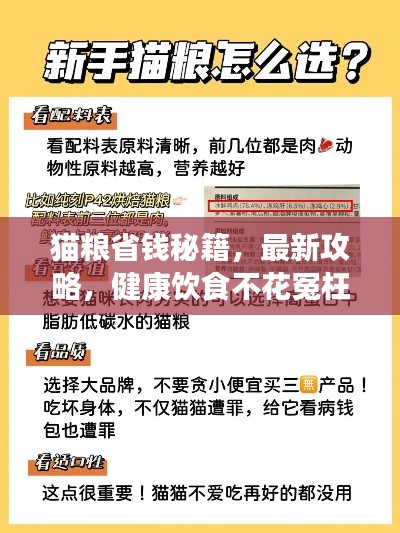 猫粮省钱秘籍，最新攻略，健康饮食不花冤枉钱