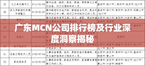 广东MCN公司排行榜及行业深度洞察揭秘