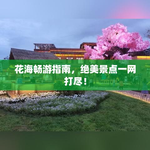 花海畅游指南，绝美景点一网打尽！
