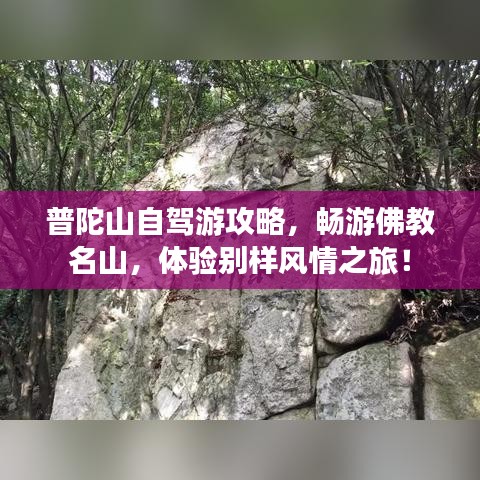 普陀山自驾游攻略，畅游佛教名山，体验别样风情之旅！