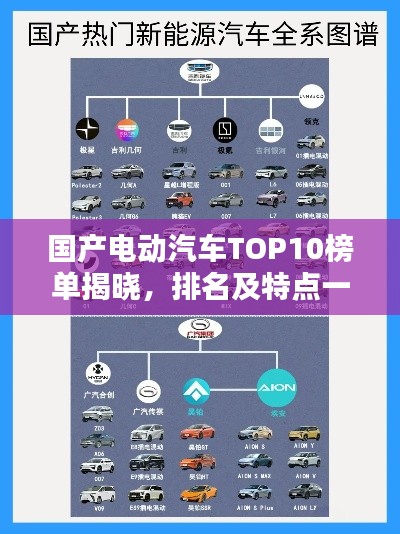 国产电动汽车TOP10榜单揭晓，排名及特点一网打尽