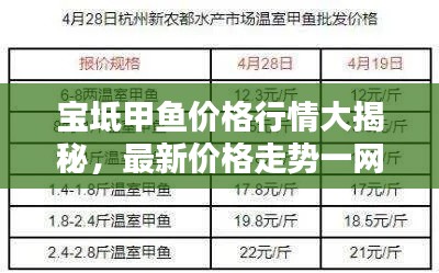 宝坻甲鱼价格行情大揭秘，最新价格走势一网打尽！