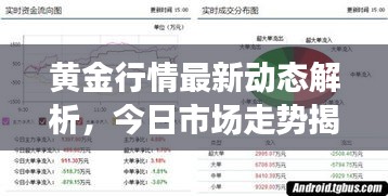 黄金行情最新动态解析，今日市场走势揭秘