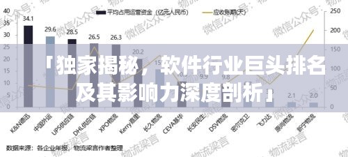 「独家揭秘，软件行业巨头排名及其影响力深度剖析」