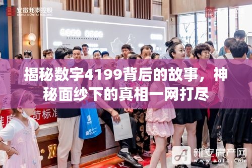 揭秘数字4199背后的故事，神秘面纱下的真相一网打尽